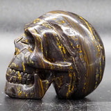 Tiger Iron Human Skull