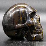 Tiger Iron Human Skull