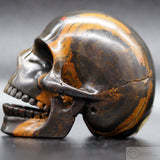 Tiger Iron Human Skull (TI04)