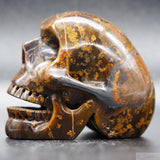Tiger Iron Human Skull