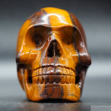 Tiger Iron Human Skull (TI09)