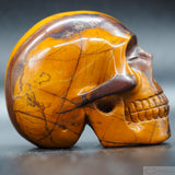 Tiger Iron Human Skull (TI09)