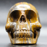 Tiger Iron Human Skull (TI08)