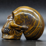 Tiger Iron Human Skull (TI08)