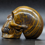 Tiger Iron Human Skull (TI08)