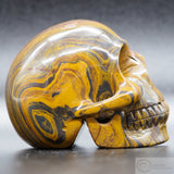 Tiger Iron Human Skull (TI08)