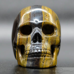 Tiger Iron Human Skull (TI02)