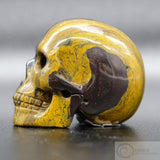 Tiger Iron Human Skull (TI02)