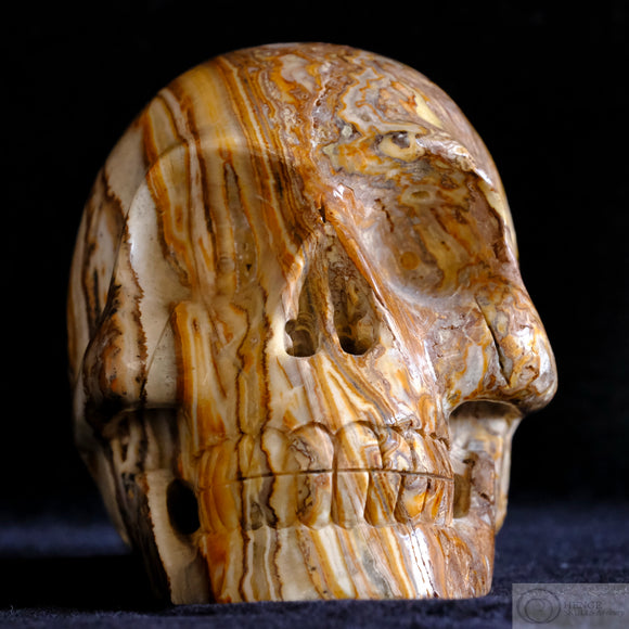 Travertine Onyx Human Skull (TrO02)