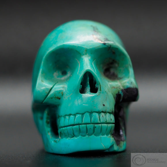 Turquoise Skull
