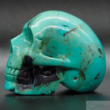 Turquoise Skull