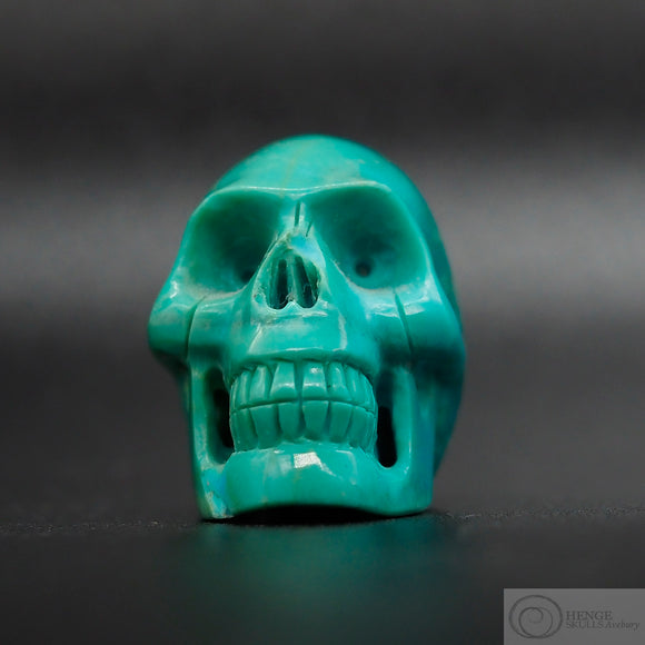 Turquoise Skull