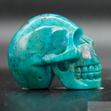 Turquoise Human Skull (Tu06)