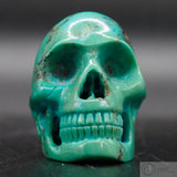Turquoise Human Skull (Tu05)