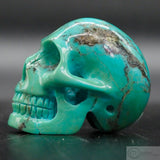 Turquoise Human Skull (Tu05)