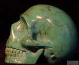 Turquoise Human Skull (Tu04)