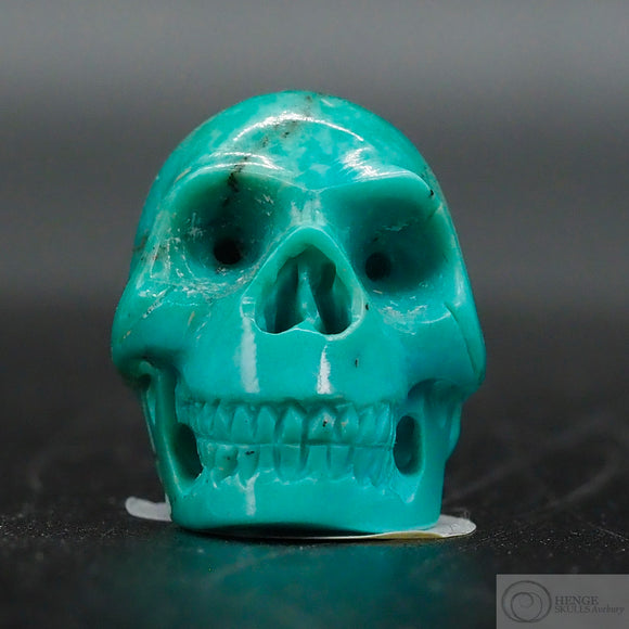 Turquoise Human Skull (Tu08)