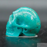 Turquoise Human Skull (Tu08)