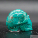 Turquoise Human Skull (Tu08)