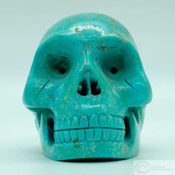Turquoise Skull