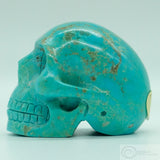 Turquoise Skull