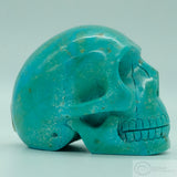 Turquoise Skull
