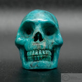 Turquoise Skull