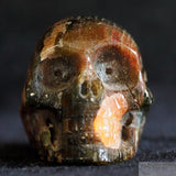 Unkown Skull