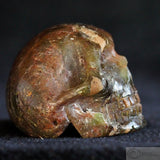 Unkown Skull