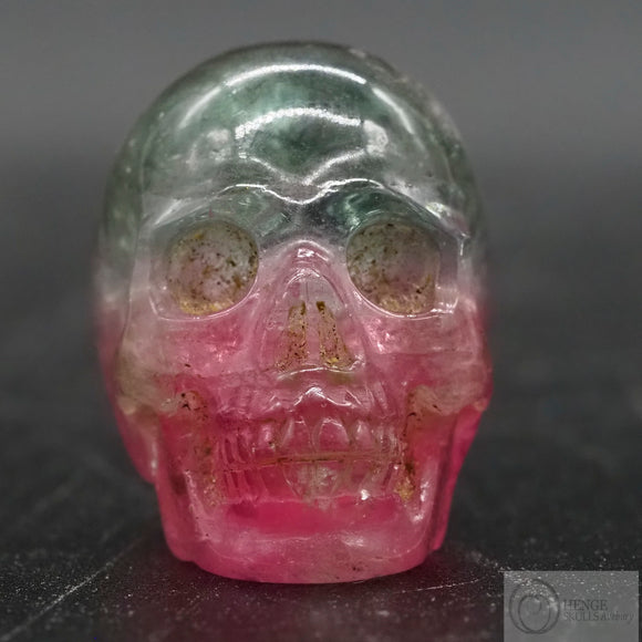 Watermelon Tourmaline Human Skull (WTM02)