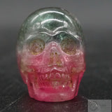 Watermelon Tourmaline Human Skull (WTM02)