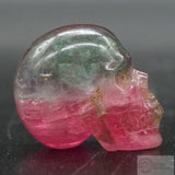 Watermelon Tourmaline Human Skull (WTM02)