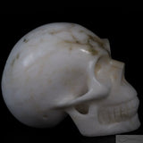 White Marble Human Skull (WM01)
