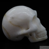 White Marble Human Skull (WM02)
