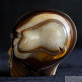 Zebra Jasper Star Being
