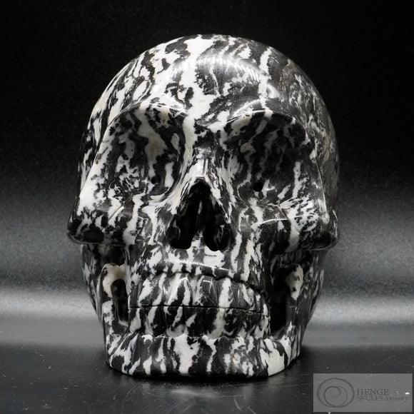 Zebra Stone Human Skull