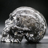 Zebra Stone Human Skull