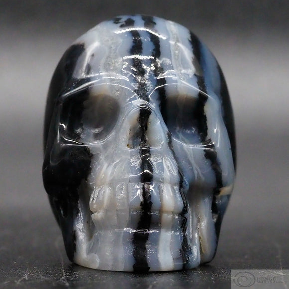 Zebra Stone Human Skull (ZS04)