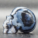 Zebra Stone Human Skull (ZS04)