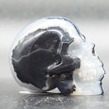 Zebra Stone Human Skull (ZS04)
