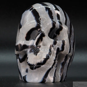 Zebra Stone Human Skull (ZS05)