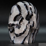 Zebra Stone Human Skull (ZS05)