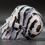 Zebra Stone Human Skull (ZS05)