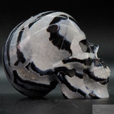 Zebra Stone Human Skull (ZS05)