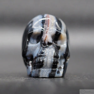 Zebra Stone Human Skull (ZS06)