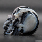 Zebra Stone Human Skull (ZS06)