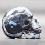 Zebra Stone Human Skull (ZS06)