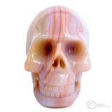 Medium sized light pink human skull with darker pink stripes running through the skull