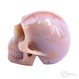 Carnelian Skull
