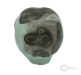 Chinese Paint Stone Skull